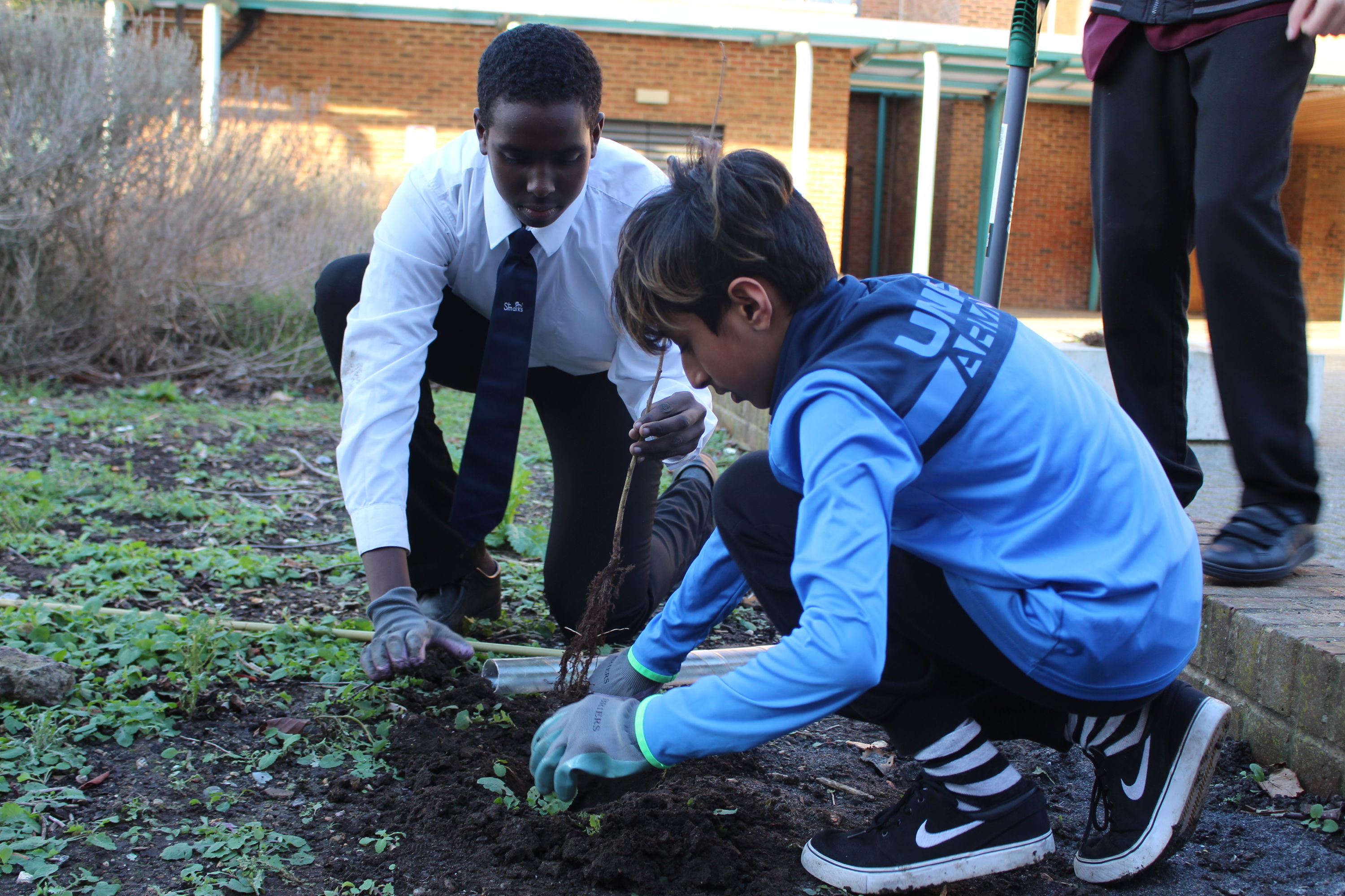 Planting